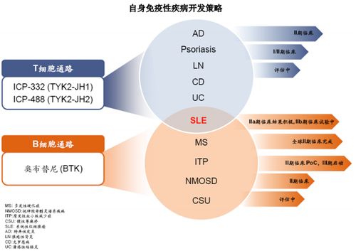 直击业绩说明会 摘 b 之后 现金玩家 诺诚健华想要成为生物制药公司