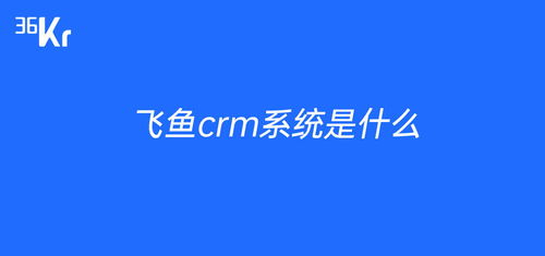 飞鱼crm系统是什么